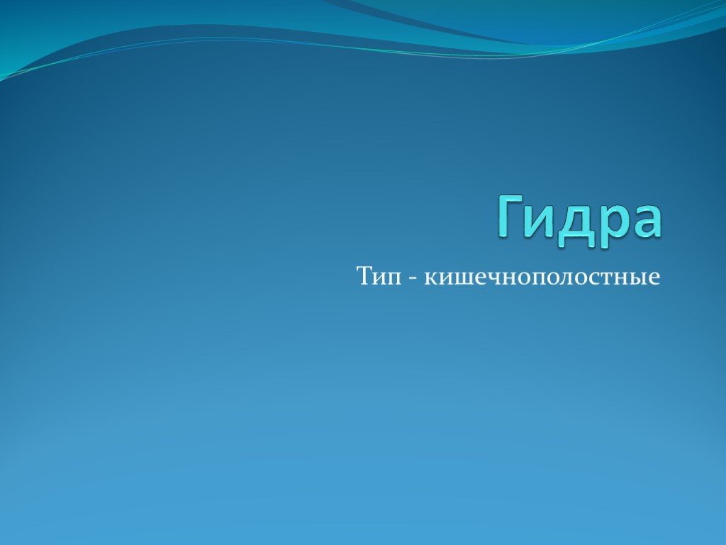 Как зарегистрироваться на кракене