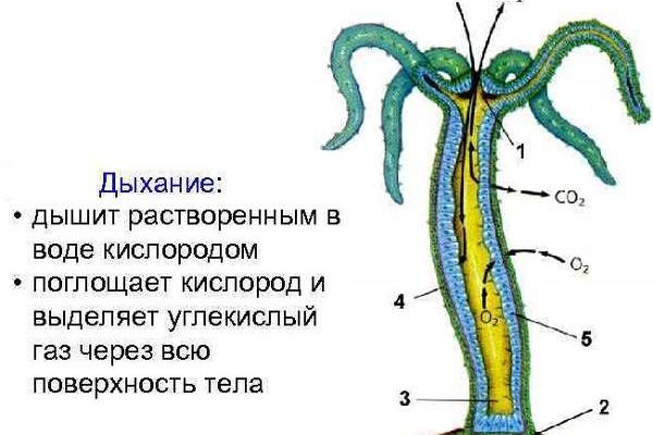 Что продают в кракен маркете