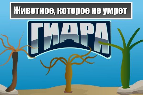 Kraken даркнет маркет